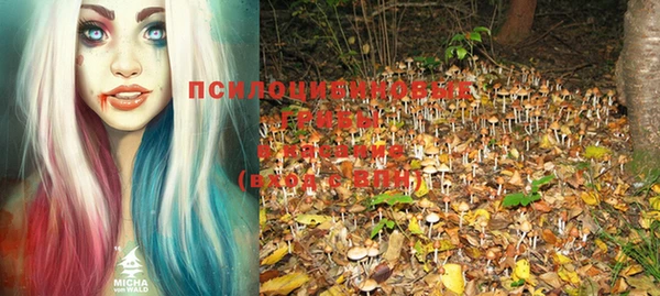 винт Медногорск