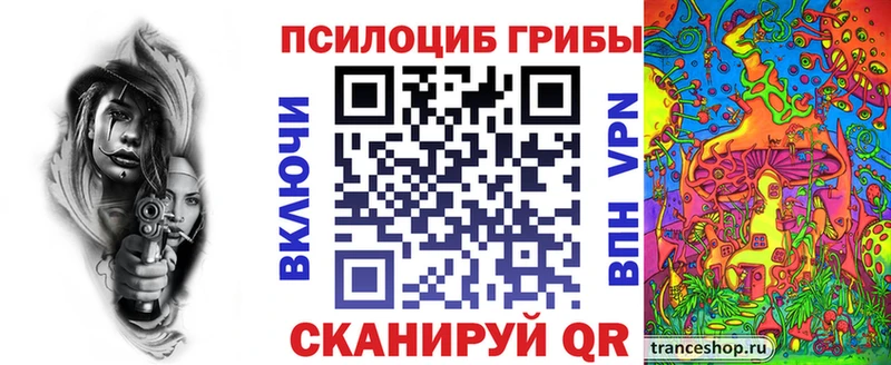 hydra маркетплейс  Малая Вишера  Псилоцибиновые грибы Psilocybe 